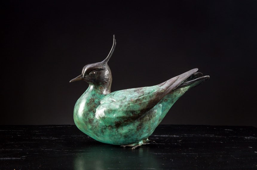 'Lapwing' - Limited Edition Bronze sculpture by Ian Greensitt