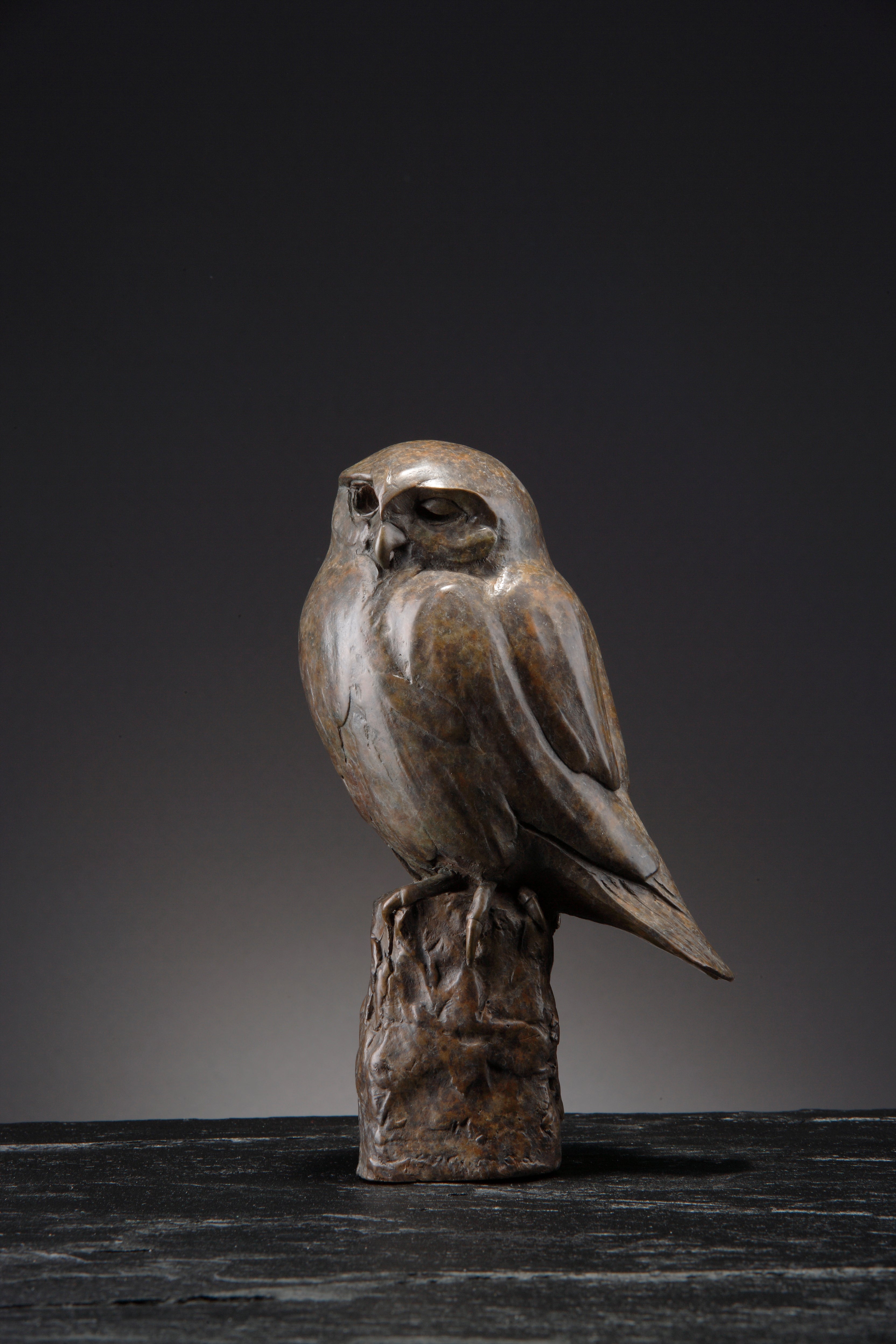 'Little Owl' Limited Edition Bronze Sculpture by Ian Greensitt
