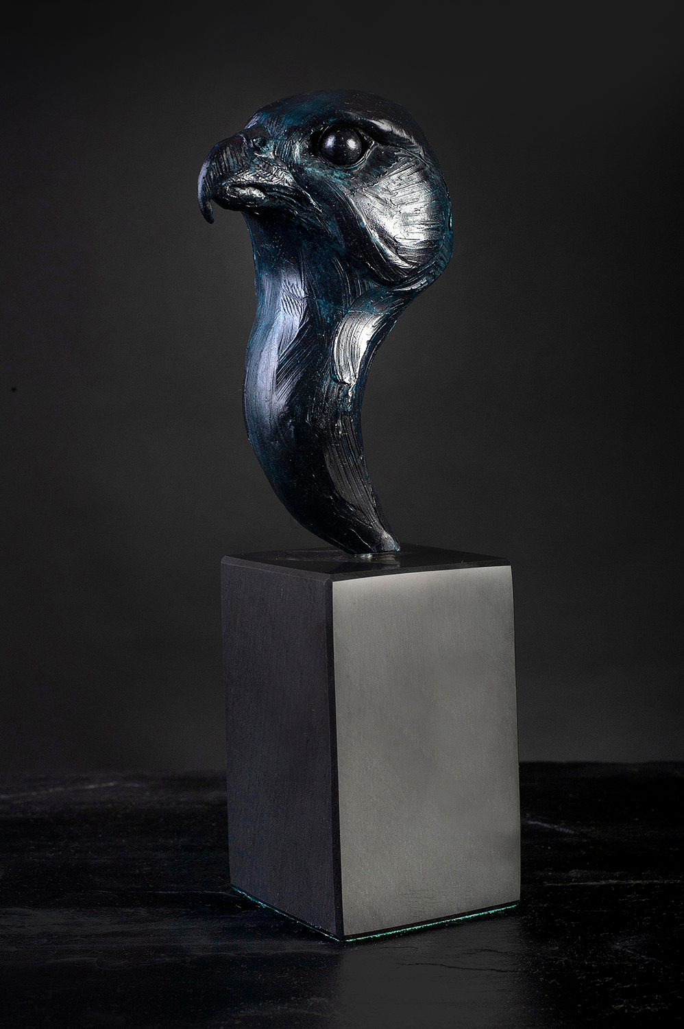 'Peregrine Falcon - Head Study' Limited Edition Bronze Sculpture by Ian Greensitt