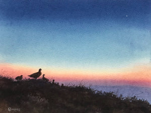 'Morning Star' - Original Watercolour Painting by Owen Williams - 18 x 23cm