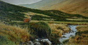 'Long Stag' - Original Oil Painting by Alistair Makinson - 15 x 30cm