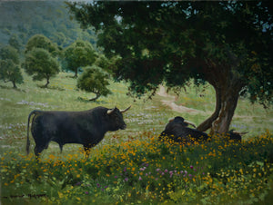 'Spanish Fighting Bulls' - Original Oil Painting by Alistair Makinson - 30 x 40cm