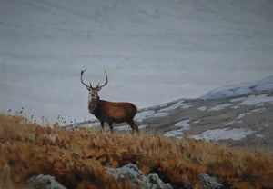 'Winter Stag' - Original Oil Painting by Alistair Makinson - 24 x 30cm