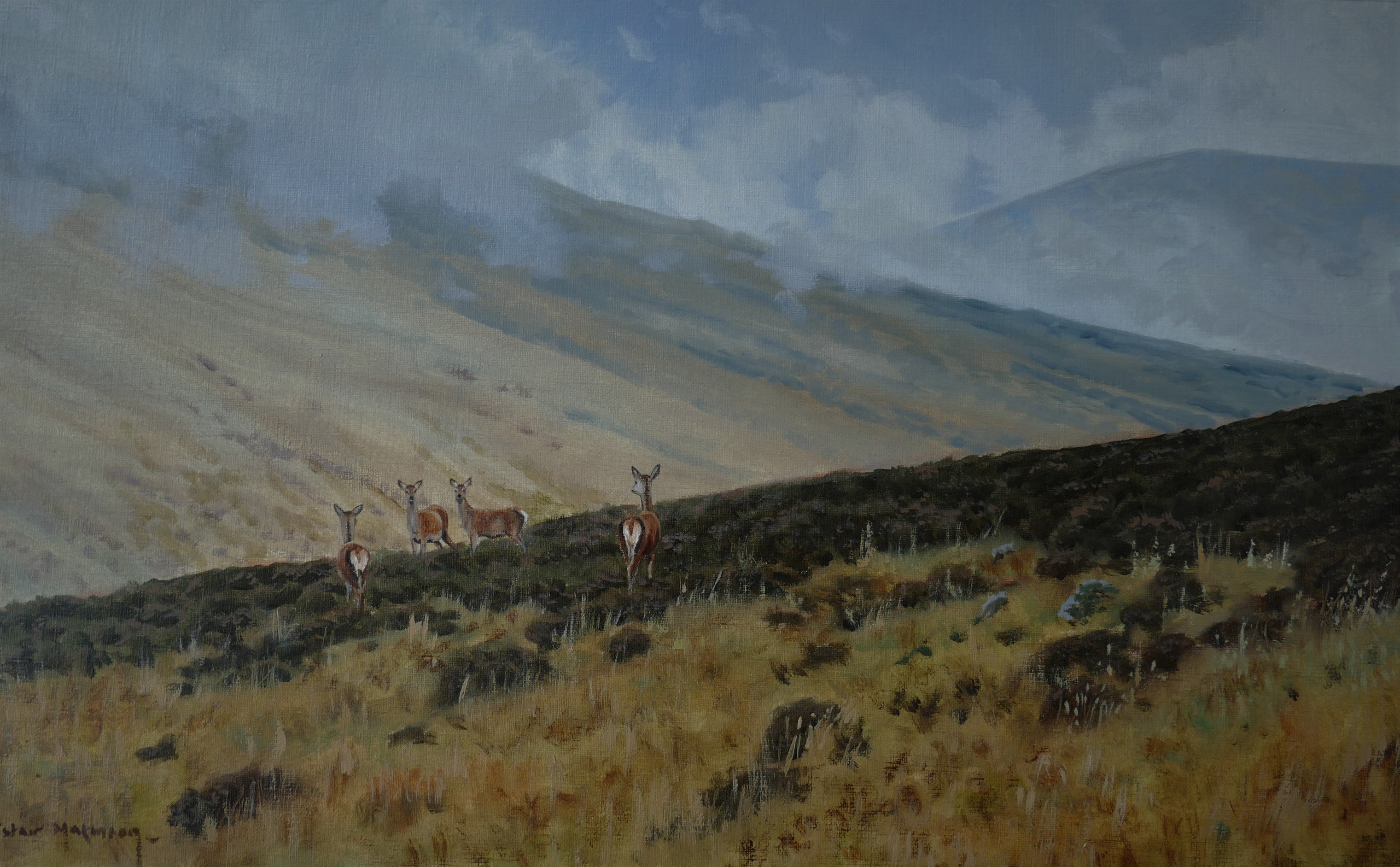 'Wary Hinds' - Original Oil Painting by Alistair Makinson - 31 x 50cm
