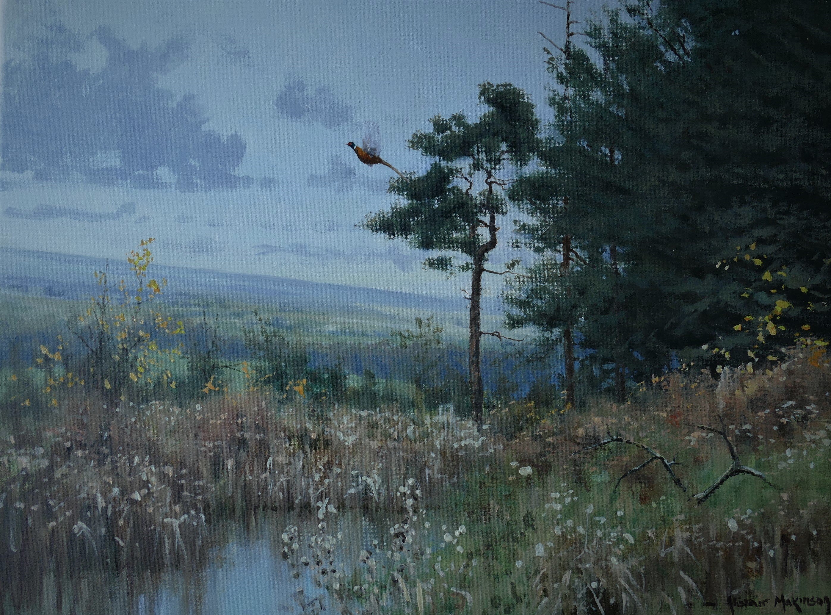 'Rising Pheasant' - Original Oil Painting by Alistair Makinson - 30 x 40cm