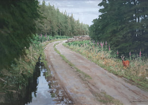 'Roe on the Track' - Original Oil Painting by Alistair Makinson - 50 x 70cm
