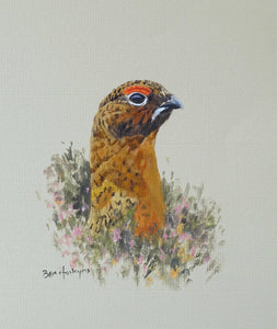 'Grouse Head' - Original Oil Painting by Ben Hoskyns