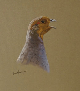 'Calling Grey Partridge' - Original Oil Painting by Ben Hoskyns