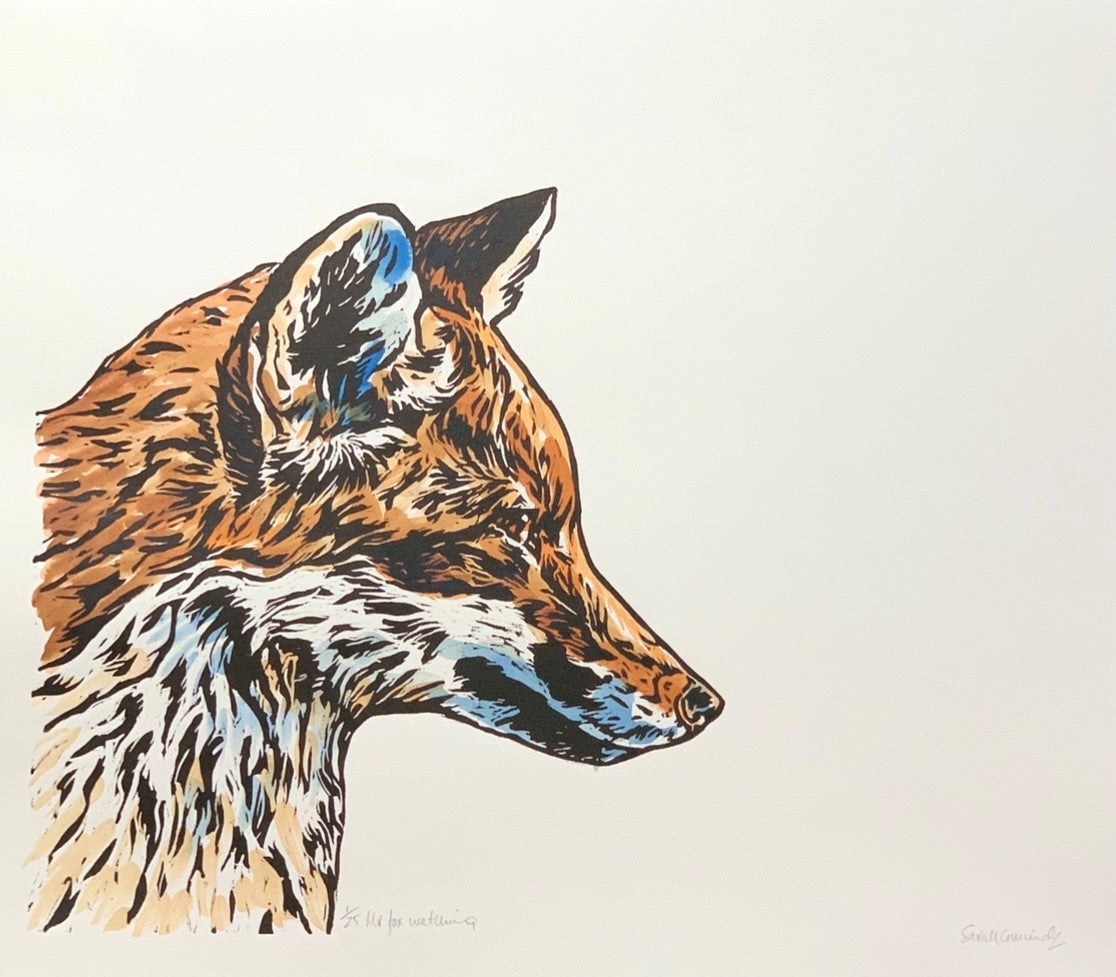 'Mr Fox watching’ - Original Hand Printed, Hand Coloured Linocut by Sarah Cemmick