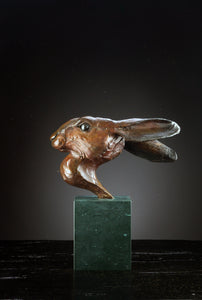 'Hare Head II' Limited Edition Bronze Sculpture by Ian Greensitt