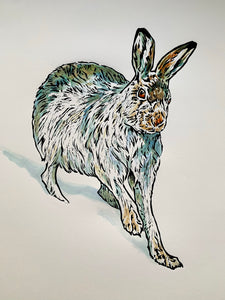 'Snow Hare' - Original Hand Printed, Hand Coloured Linocut by Sarah Cemmick