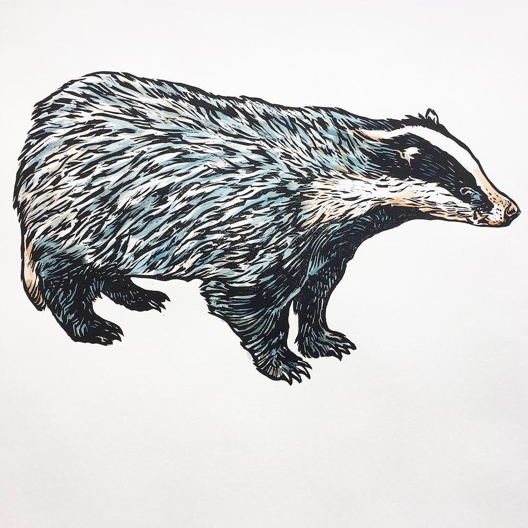 'Billy Badger' - Original Hand Printed, Hand Coloured Linocut by Sarah Cemmick