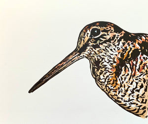 'Woodcock' - Original Hand Printed, Hand Coloured Linocut by Sarah Cemmick